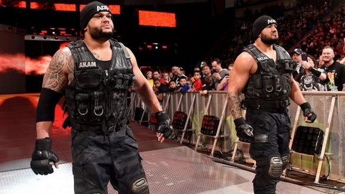 authors of pain wwe