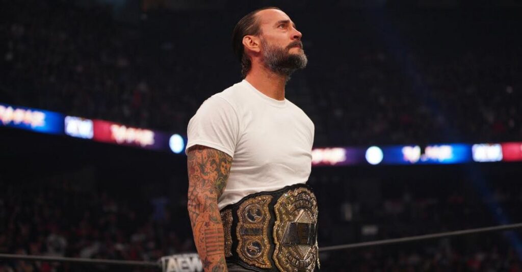 cm punk 2