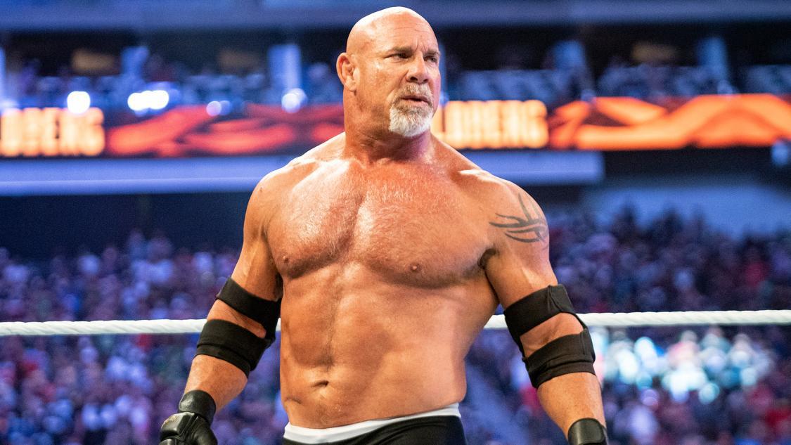 Bill Goldberg Net worth