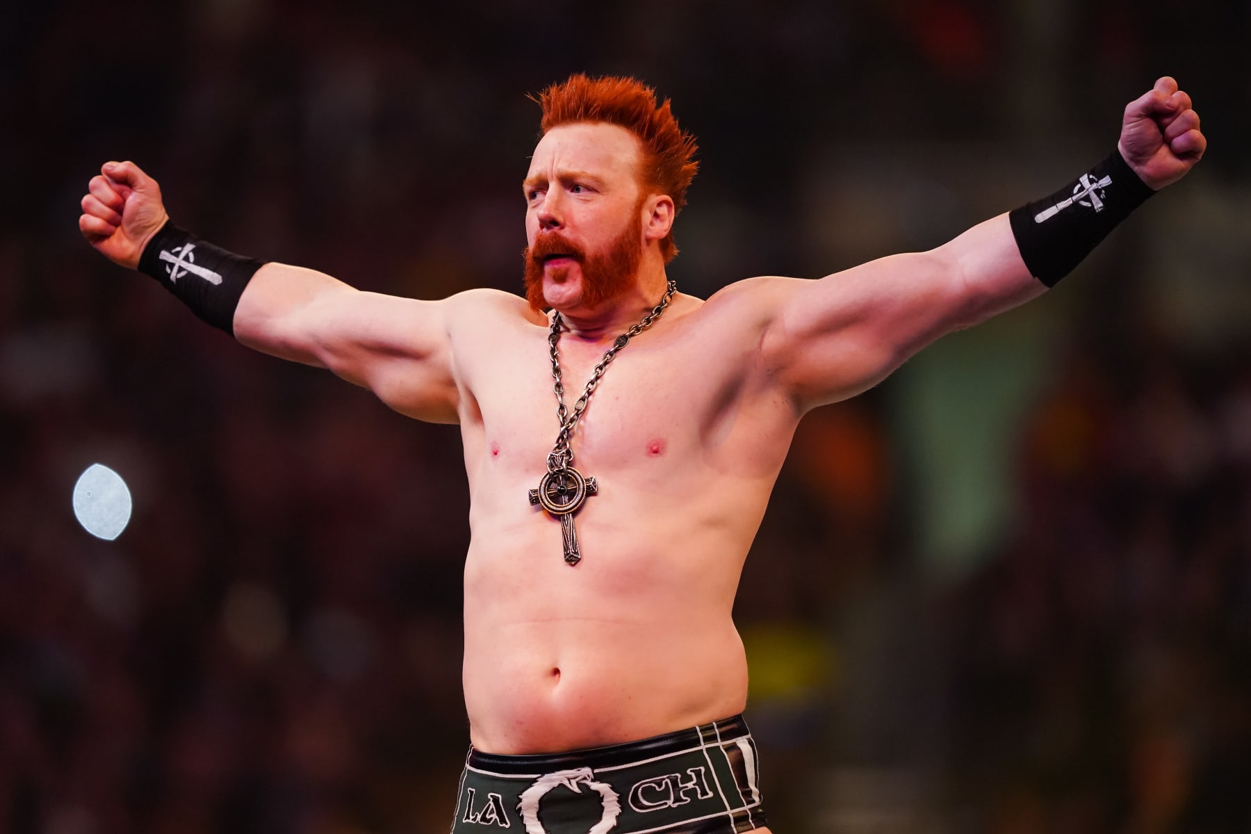 Sheamus Advertised To Make WWE Return From Injury November 24th