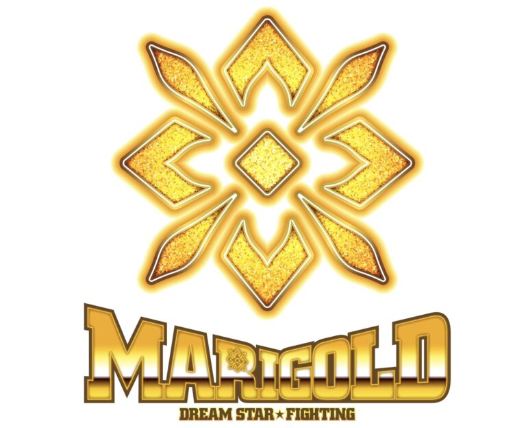 Rossy Ogawa Announces New Wrestling Promotion – DREAM STAR FIGHTING Marigold, Roster, Schedule + More Revealed