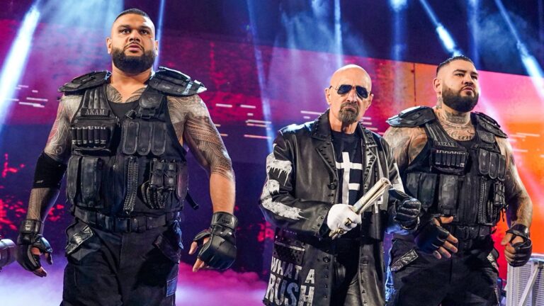Paul Ellering And Authors Of Pain Reportedly Released By WWE