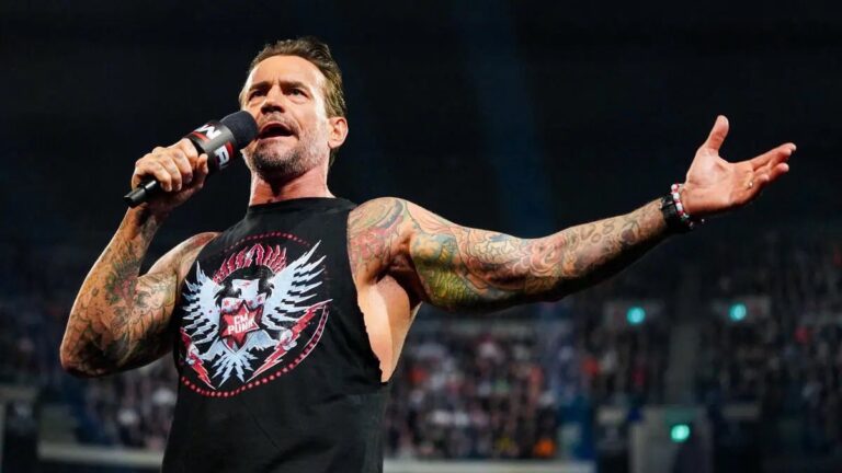 CM Punk: If You’re A True Professional, You Don’t Have To Remotely Like The Guys You Work With