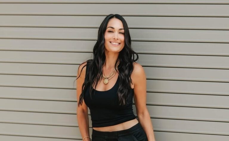 Brie Bella Feels She Has One Last WWE Run In Her